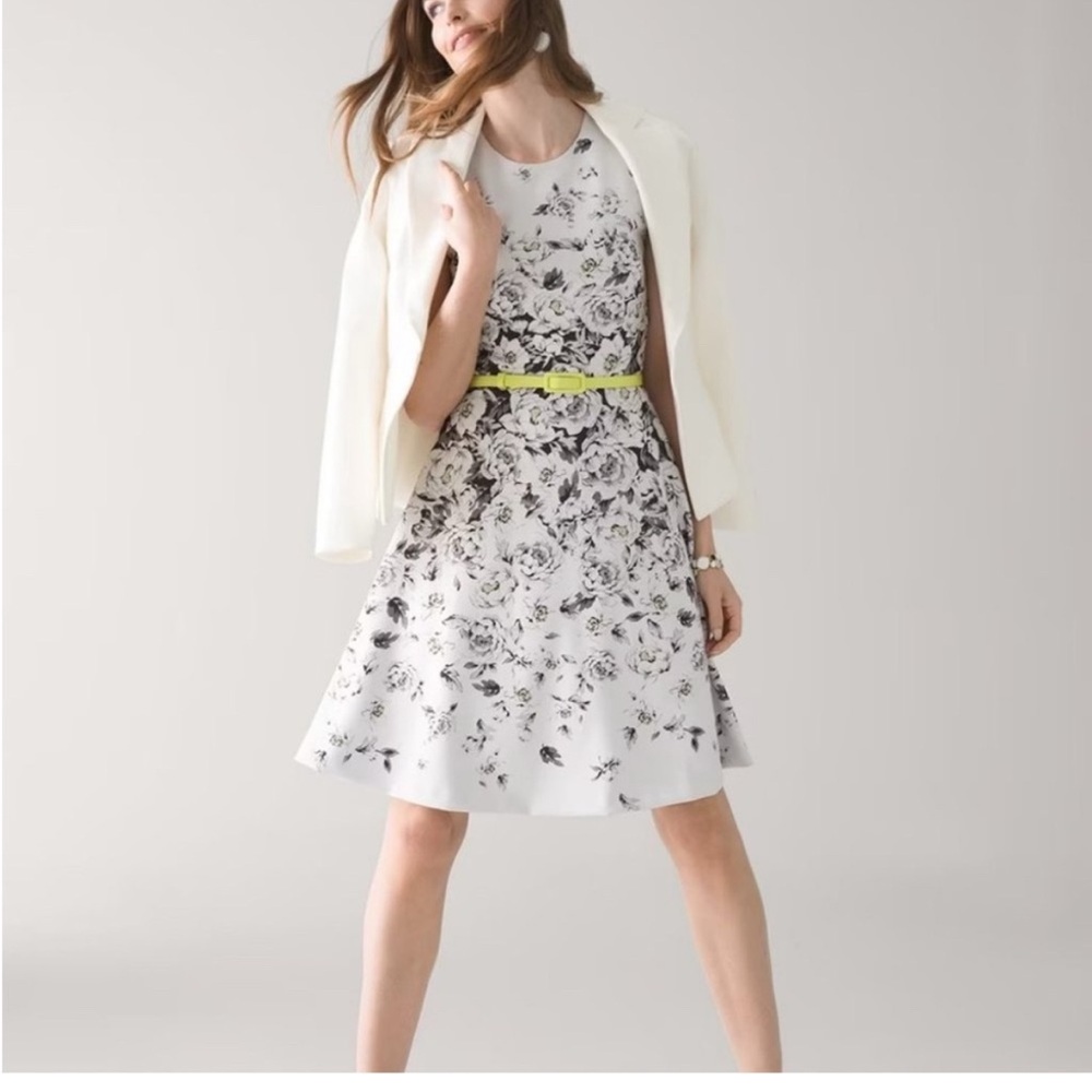 White House Black Market Scuba Dress